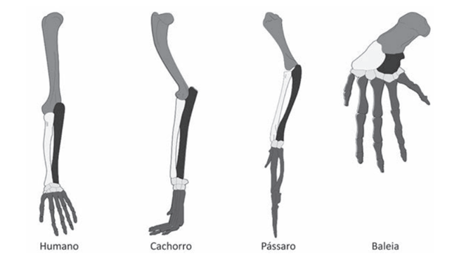 Q42.png (653×365)