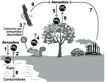 Imagem associada para resolução da questão