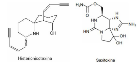 Captura_de tela 2025-01-03 103245.png (449×211)
