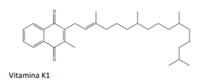 Q48D.png (288×120)