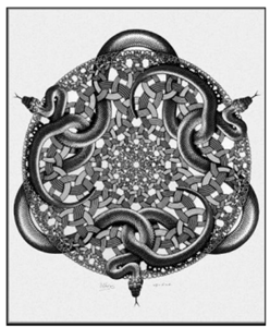 Q35.png (248×300)