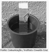 Captura_de tela 2026-08-09 100438.png (204×219)