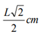Q25D.png (64×49)