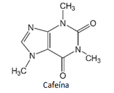 Captura_de tela 2025-01-02 155627.png (236×192)
