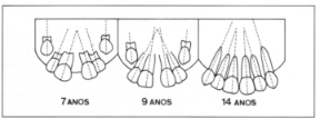 Captura_de tela 2026-08-06 081527.png (288×107)