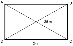 16.jpg (257×162)