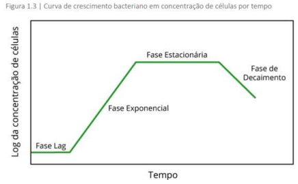 Captura_de tela 2025-12-21 182929.png (436×270)