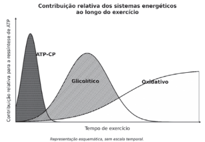 Captura_de tela 2026-10-02 063719.png (410×283)