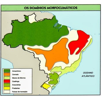 Captura_de tela 2026-07-29 123553.jpg (355×335)