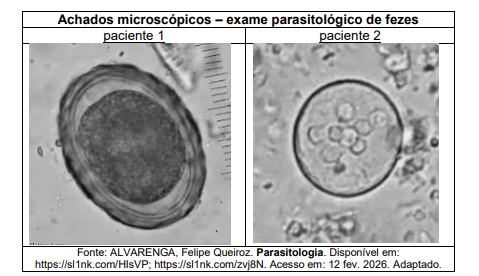 Imagem associada para resolução da questão