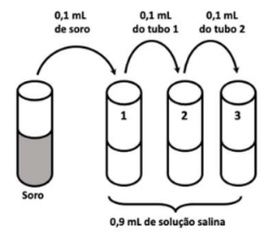 Captura_de tela 2026-07-13 181553.png (256×227)
