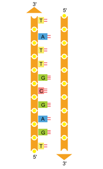 Q36.png (213×349)