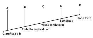 Captura_de tela 2026-05-28 165114.jpg (322×132)