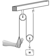 Q51.png (180×191)