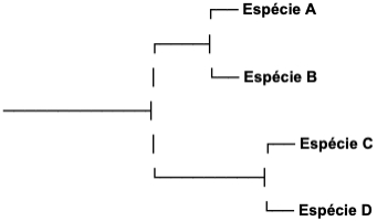 36.jpg (341×200)