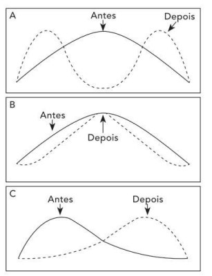 Captura_de tela 2026-05-28 164459.jpg (307×400)