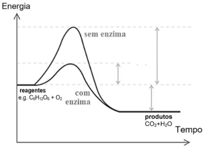 Captura_de tela 2026-08-05 153818.png (410×302)