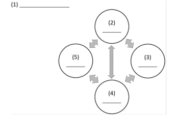 Q37.png (345×232)