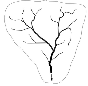 Captura_de tela 2025-07-16 185513.png (354×344)
