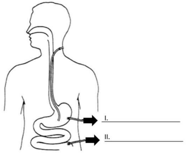 Imagem associada para resolu&ccedil;&atilde;o da quest&atilde;o