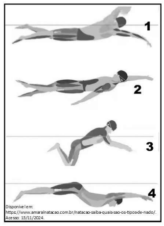 Captura_de tela 2024-12-12 100152.png (335&times;462)