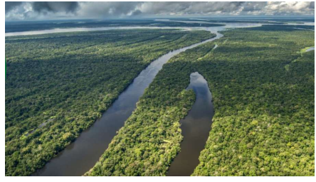 Captura_de tela 2024-12-12 110115.png (444&times;256)