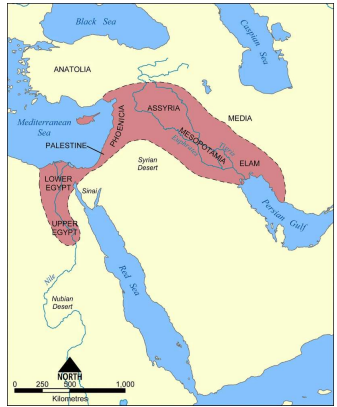 Q23.png (337&times;407)