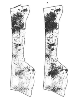 Q34.png (234&times;314)