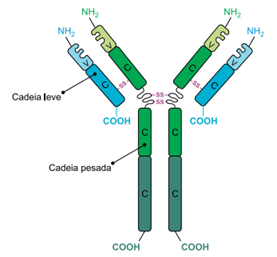 Q34.png (277&times;257)