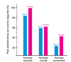 Q40.png (296&times;261)