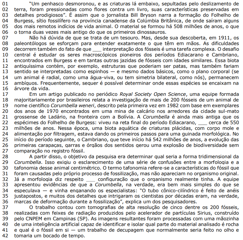 Captura_de tela 2025-11-05 084330.png (814&times;804)