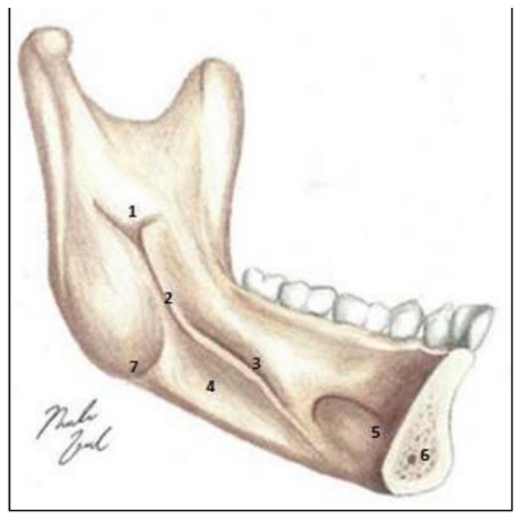 Imagem associada para resolu&ccedil;&atilde;o da quest&atilde;o