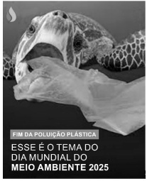 Imagem associada para resolu&ccedil;&atilde;o da quest&atilde;o