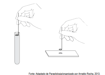 Imagem associada para resolu&ccedil;&atilde;o da quest&atilde;o