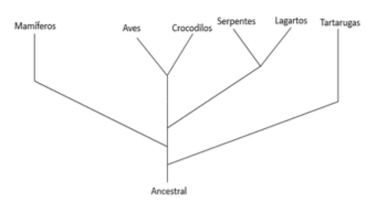 Imagem associada para resolu&ccedil;&atilde;o da quest&atilde;o