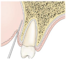 Imagem associada para resolu&ccedil;&atilde;o da quest&atilde;o