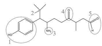 Q54_56.png (354&times;162)