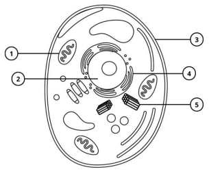 Imagem associada para resolu&ccedil;&atilde;o da quest&atilde;o