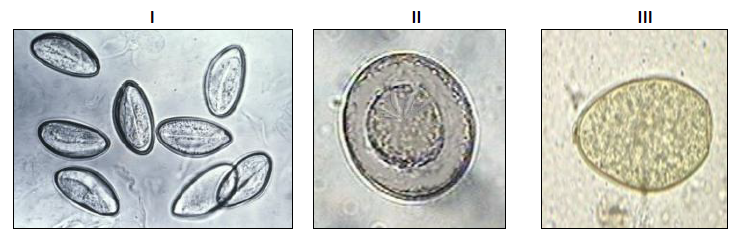 Imagem associada para resolu&ccedil;&atilde;o da quest&atilde;o