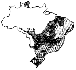 Imagem associada para resolu&ccedil;&atilde;o da quest&atilde;o