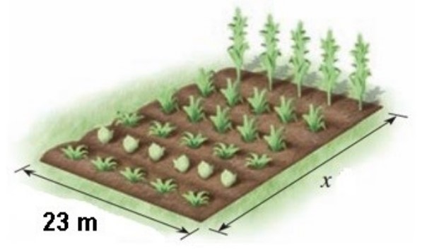 Imagem associada para resolu&ccedil;&atilde;o da quest&atilde;o