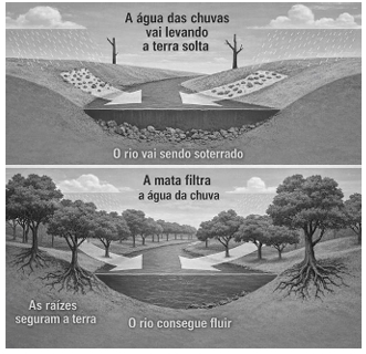 Imagem associada para resolu&ccedil;&atilde;o da quest&atilde;o