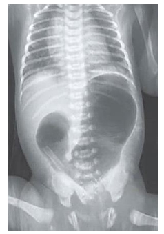 Imagem associada para resolu&ccedil;&atilde;o da quest&atilde;o