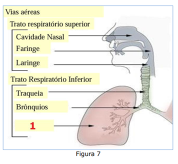 Q65.png (356&times;328)