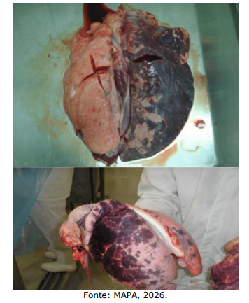 Imagem associada para resolu&ccedil;&atilde;o da quest&atilde;o