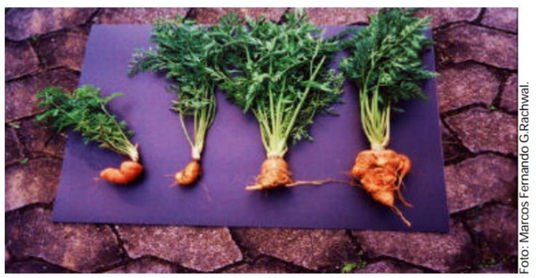 Q24.png (536&times;278)