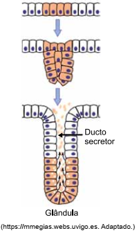 Imagem associada para resolu&ccedil;&atilde;o da quest&atilde;o