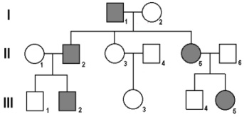 Imagem associada para resolu&ccedil;&atilde;o da quest&atilde;o