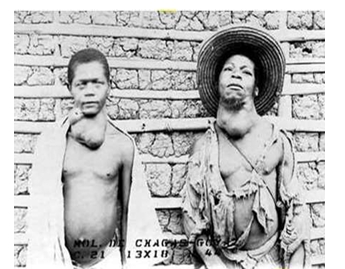 Imagem associada para resolu&ccedil;&atilde;o da quest&atilde;o