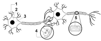 Imagem associada para resolu&ccedil;&atilde;o da quest&atilde;o
